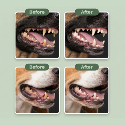Ruffwell™ Dental Cleaning Powder