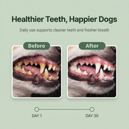 Ruffwell™ Dental Cleaning Powder