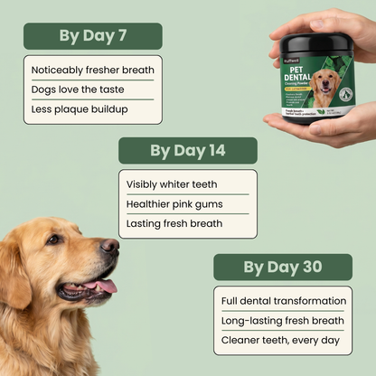 Ruffwell™ Dental Cleaning Powder