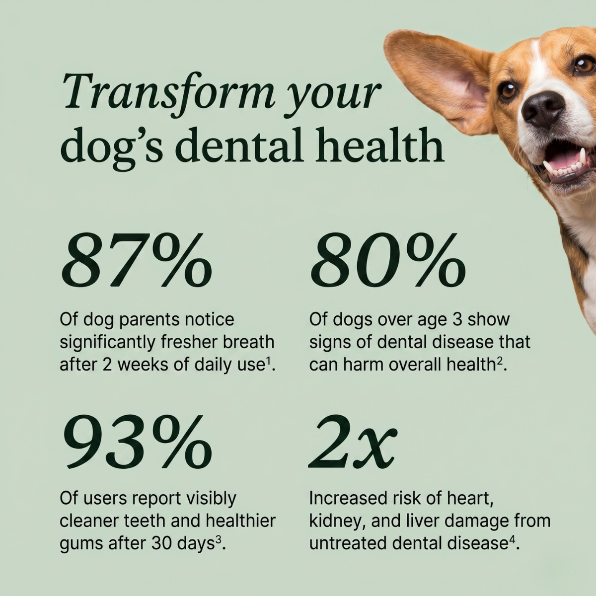 Ruffwell™ Dental Cleaning Powder
