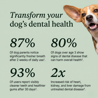 Ruffwell™ Dental Cleaning Powder