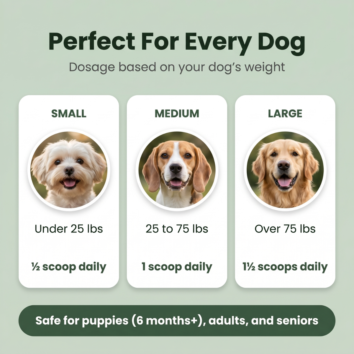 Ruffwell™ Dental Cleaning Powder