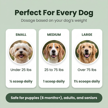 Ruffwell™ Dental Cleaning Powder