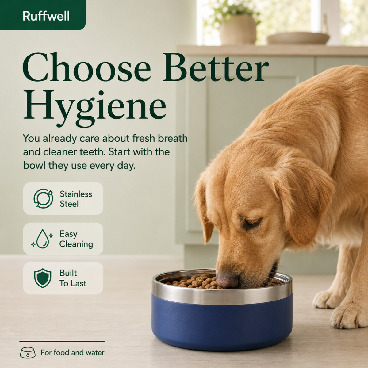 stainless Steel Bowl | Anti-slip