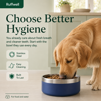 stainless Steel Bowl | Anti-slip