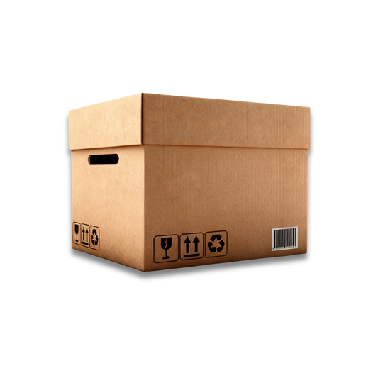 FREE Shipping