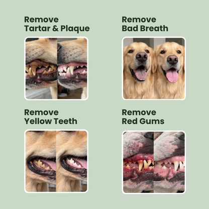 Ruffwell™ Dental Cleaning Powder